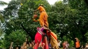 Maharashtra news | dahi handi Maharashtra| old lady Nauvari sari