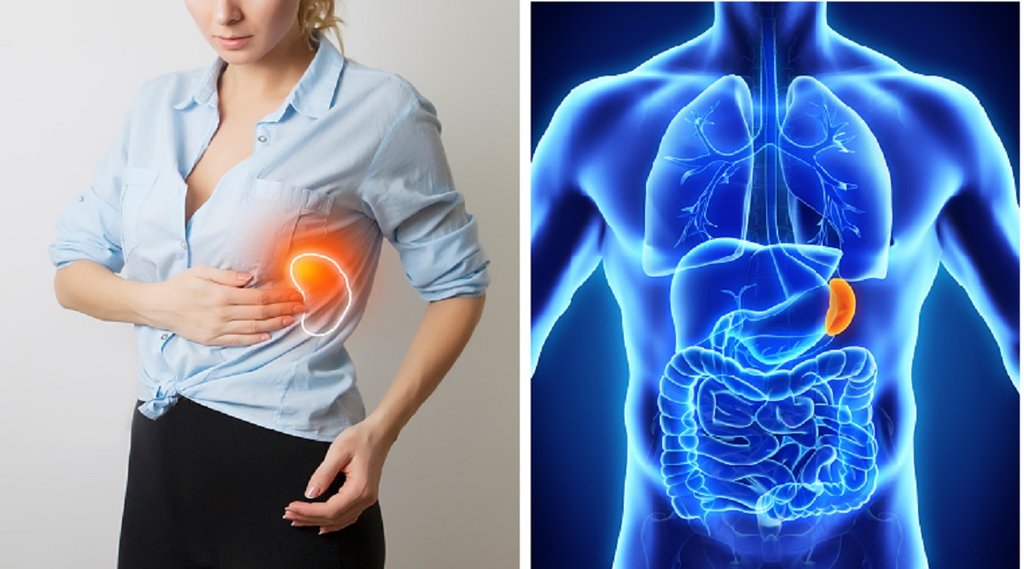 Spleen in body, spleen problem, spleen size increased, spleen enlarged problem,