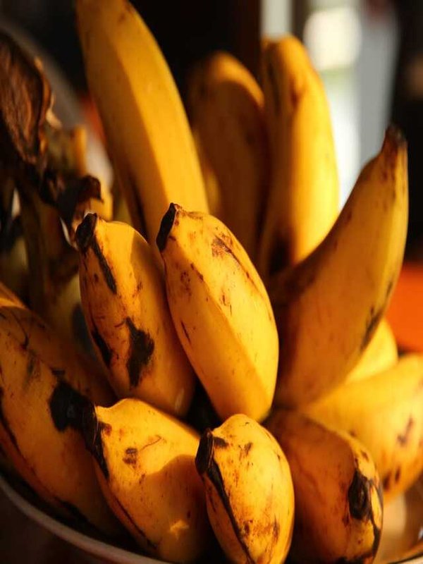 TIPS HOW TO STORE BANANA