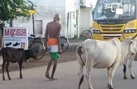 National Flag, Har Ghar Tiranga