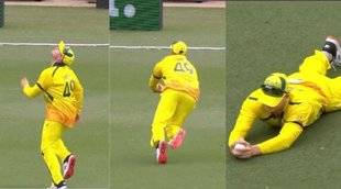 Steve Smith Adam Zampa Steve Smith catch Steve smith running catch AUS vs ZIM 1st ODI