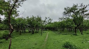 uttar pradesh| ayodhya| land scam|