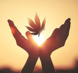 ज्ञान का समन्वय