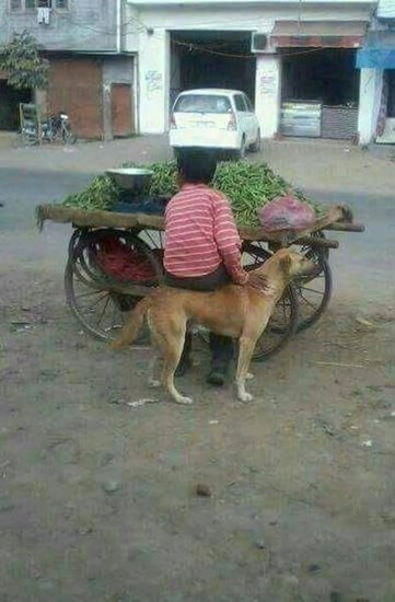 दो दोस्त।