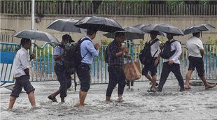 Weather Update| imd alert| delhi ncr weather