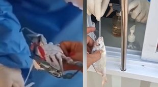 covid test| covid in china| coronavirus