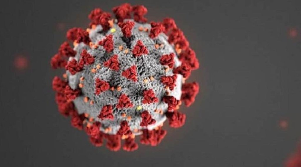 covid news, covid-19, Coronavirus in delhi