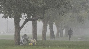 Weather Update,imd alert,delhi ncr weather