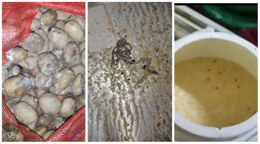 Delhi News, AIIMS, Food Insects