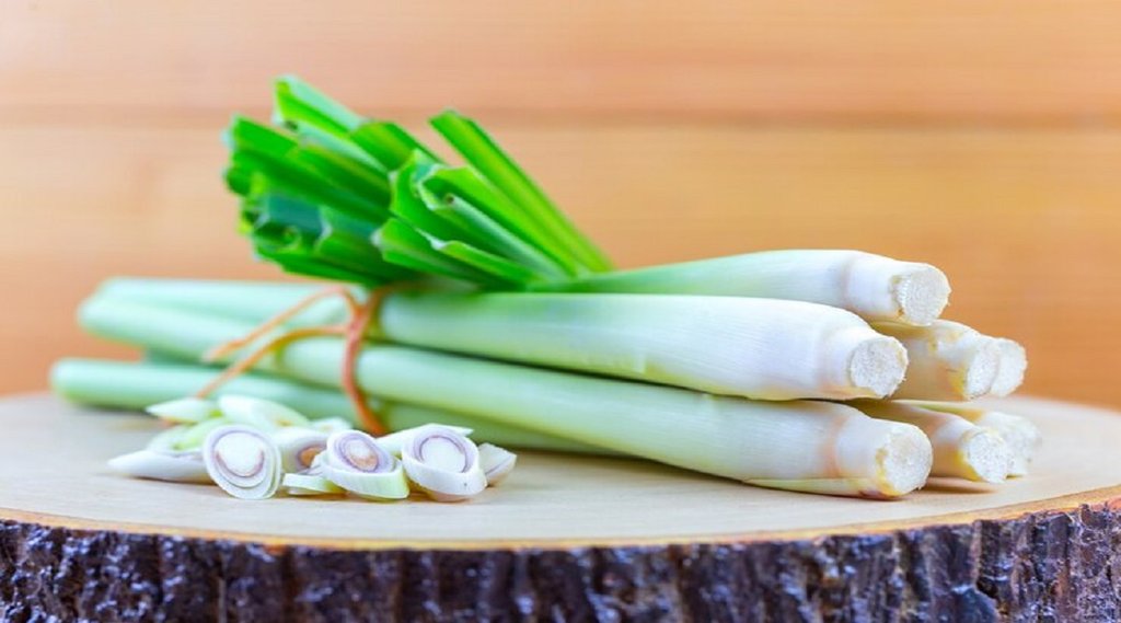 Lemongrass for cholesterol control, Lemongrass Benefits,What Is Lemongrass