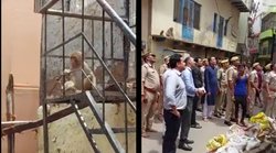 Video: मथुरा के DM का चश्मा लेकर भाग गया बंदर, वापस लेने को करनी पड़ी ऐसे मशक्कत