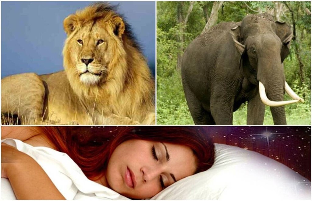 Dream Interpretation, sapne me sher