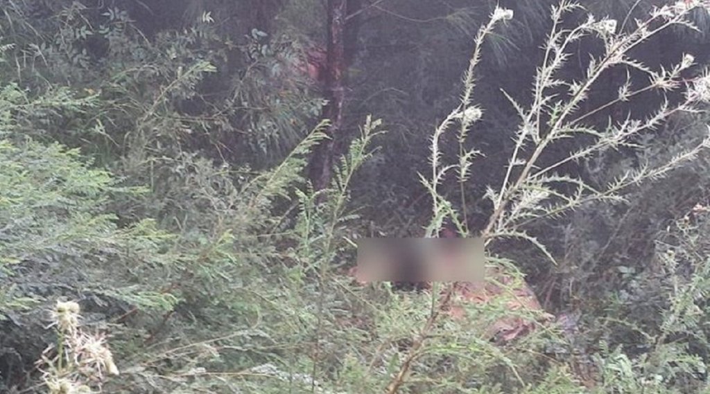 Pakistani Terrorist, LOC, Video Viral