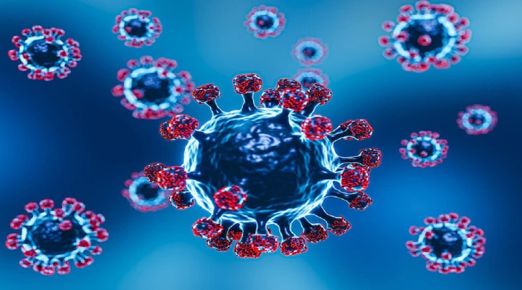 Zoonotic Langya virus,Langya Henipavirus,Novel Langya