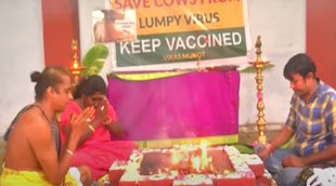 Tamilnadu Hawan, Worship For Cow, Lumpy Virus