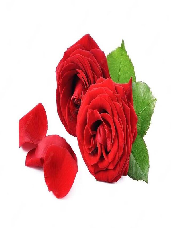 BENEFITS OF ROSE PETALS FOR SKIN AND BODY