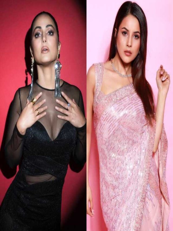 BIGG BOSS CELEBS WHO GOT NAME AND FAME