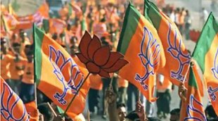 MCD election