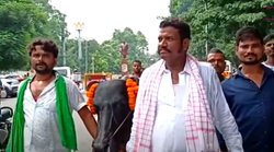 भैंस को साथ लेकर टिकट मांगने तेजस्वी यादव के पास पहुंच गए राजद नेता, जानिए क्या बोले