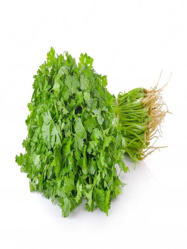 CORIANDER LEAVES BENEFITS