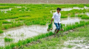 Farmers Compensation | Maharashtra Government | CM Eknath Shinde