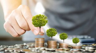 Fixed Deposit | Tax Saving FD | Tax Deduction