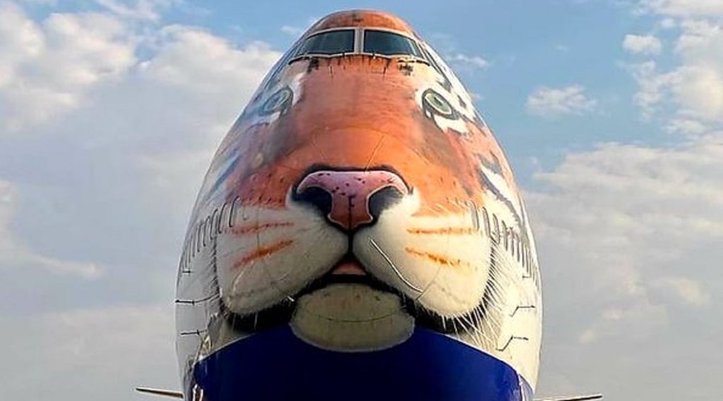 Tiger, Cheetah, PM Modi Birthday