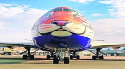 आठ चीते भारत लाने के लिए नामीबिया पहुंचा विशेष बी 747 विमान