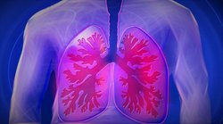 Lung Care: बिना किसी लक्षण के खराब हो सकते हैं फेफड़े, घर पर इस तरह से कर सकते हैं अपने लंग्स की जांच