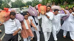 मप्रः लहसुन की बोरियां लेकर असेंबली पहुंच गए कांग्रेसी, बोले- ये भी बिकाऊ है खरीद लो