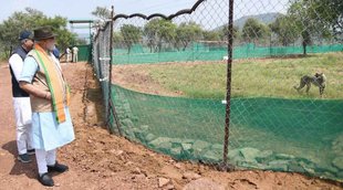 Narendra Modi II Madhya Pradesh II Cheetah