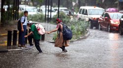 उत्तराखंड: देहरादून में भारी बारिश से कोहराम, बहते दिखे जानवर