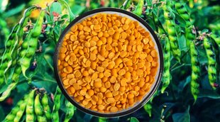 diabetes control, diabetes diet, diabtes control tips, arhar dal for diabetes patients