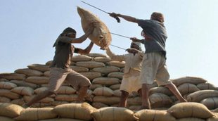 Rice Export Ban, Broken Rice Export, Ban on Broken Rice Export