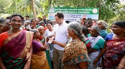 तमिलनाडु की लड़की ने की शादी की पेशकश तो झेंप गए राहुल गांधी, जानिए पूरा किस्सा