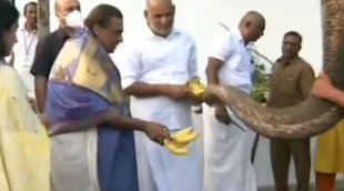 mukesh ambani| andhra pradesh| tirupati temple|