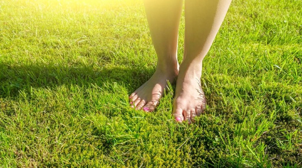 Is running on grass good for you, Does running on grass build muscle, Is it good to walk on green grass, How often should I run on grass, Walking Barefoot, Walking