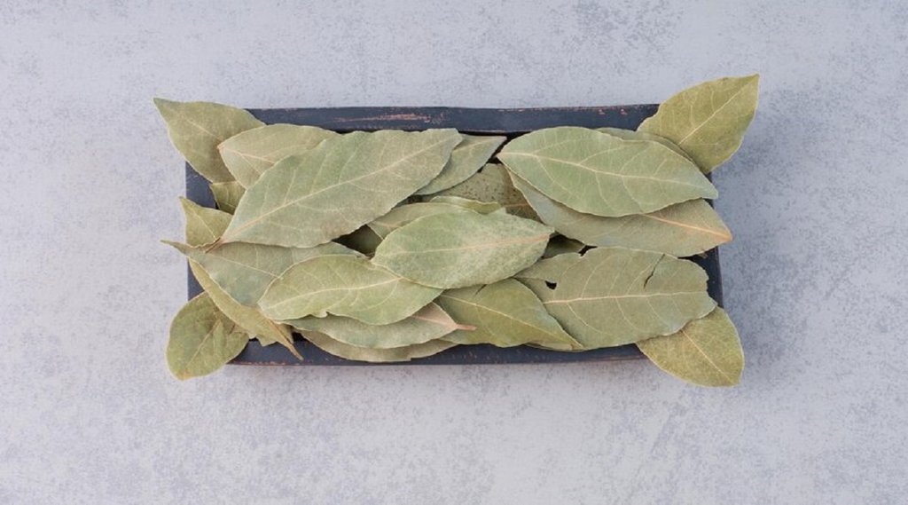 Bay leaf Benefits, Bay leaf for uric acid control,what to eat in uric acid, what should we eat when uric acid is high