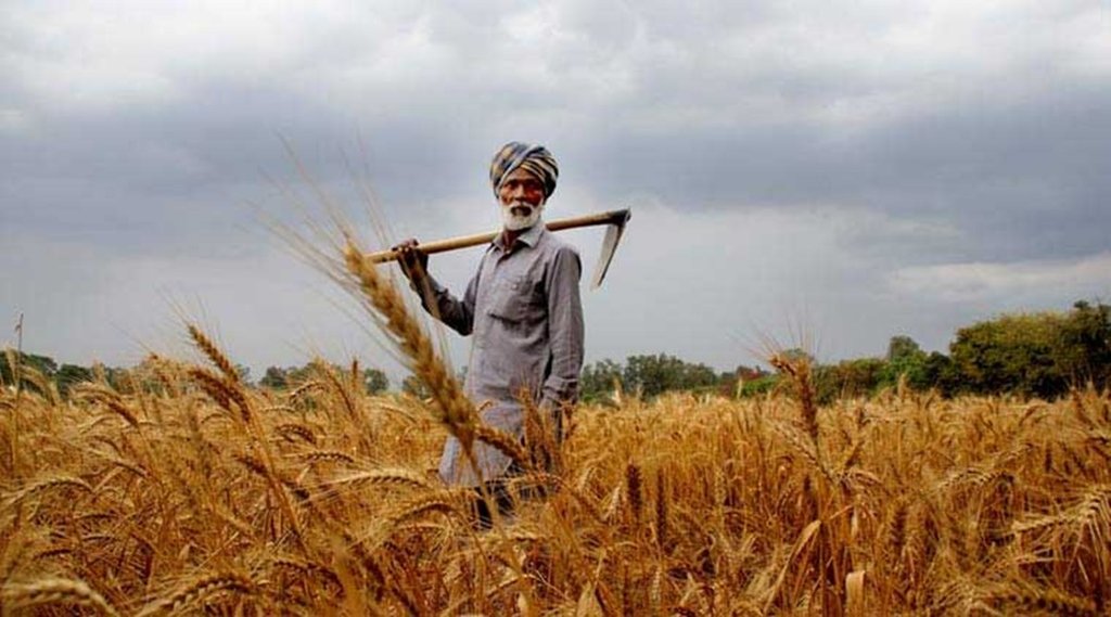 agriculture