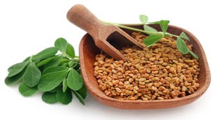 Fenugreek leaves,Fenugreek leaves,Fenugreek Seeds For Diabetes,Fenugreek seeds benefits,