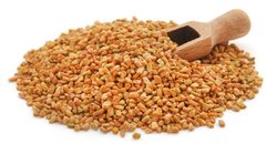Fenugreek Seeds Benefits: टाइप 2 डायबिटीज को कंट्रोल करने में बेहद कारगर है मेथी दाना, एक्सपर्ट से जानें सेवन का तरीका