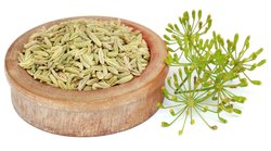 Weight Loss: मलाइका अरोड़ा कैसे रखती हैं वजन पर कंट्रोल? खुद बताया सीक्रेट