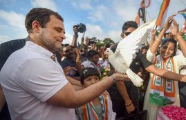 Bharat Jodo Yatra, Rahul Gandhi T Shirt