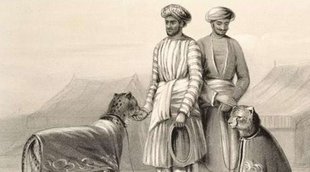 cheetah | AKBAR | ramanuj pratap singh deo