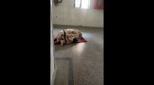 UP News| Namaj in Hospital| Prayagraj Police