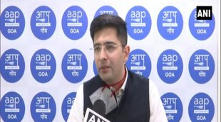 Aam Aadmi Party, Raghav Chadha, assembly polls