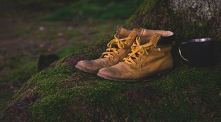 vastu tips for shoe, vastu tips for shoe rack, vastu tips for shoe in hindi, vastu tips for shoe rack in hindi,