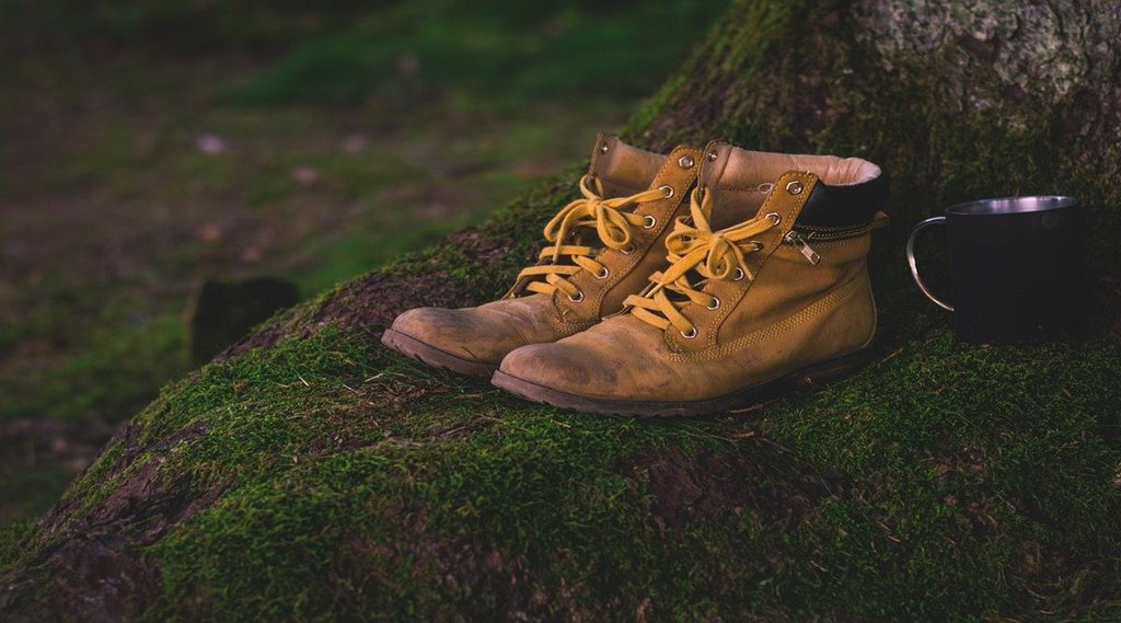 vastu tips for shoe, vastu tips for shoe rack, vastu tips for shoe in hindi, vastu tips for shoe rack in hindi,