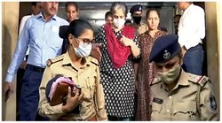 Teesta Setalvad: तीस्ता सीतलवाड़ से 6 दिनों में केवल एक बार हुई थी पूछताछ, जानिए क्यों किया जुबैर केस का जिक्र