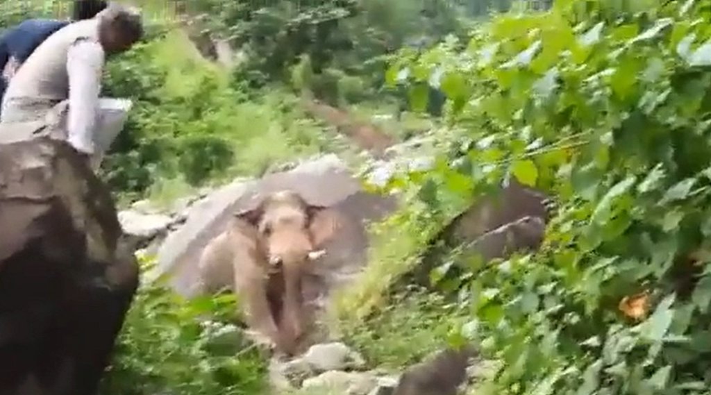 Elephant attack on Trivendra Singh Rawat, Uttarakhand Ex CM, Elephant